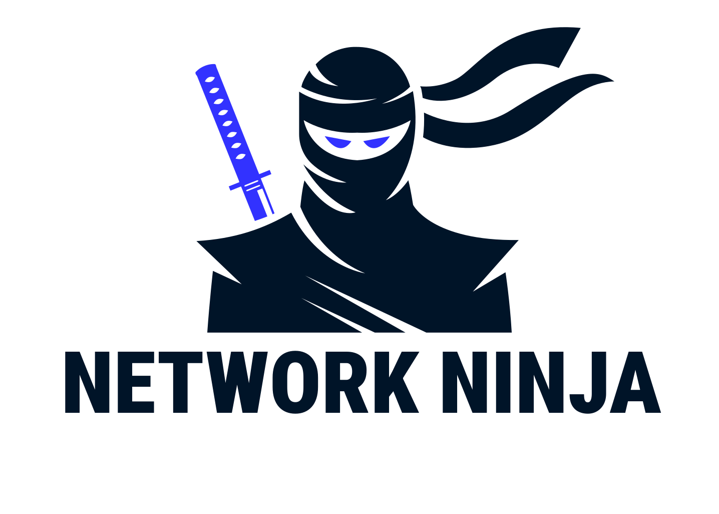 Network Ninja